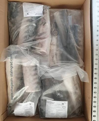 Barracuda Seud — carton 10 kg