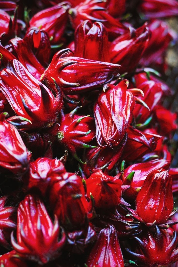 Bissap séché — 200 g