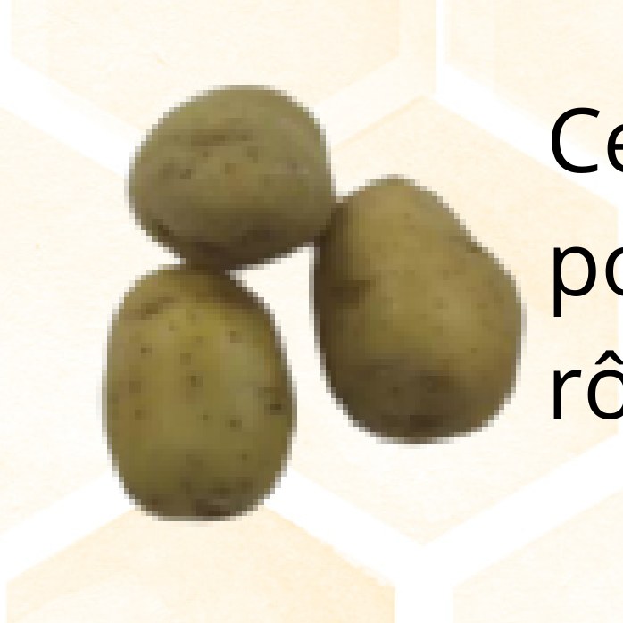Citron vert — 1 kg