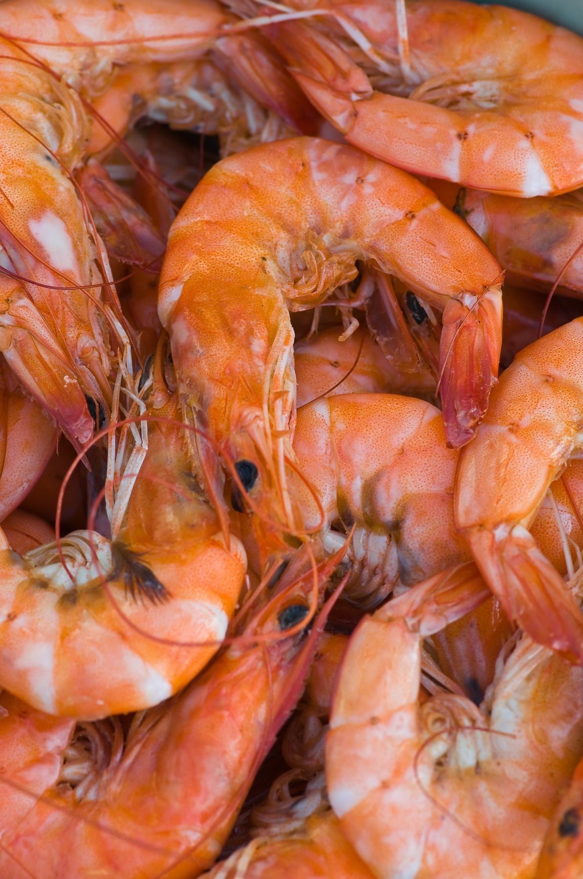 Crevettes crues décortiquées — sachet