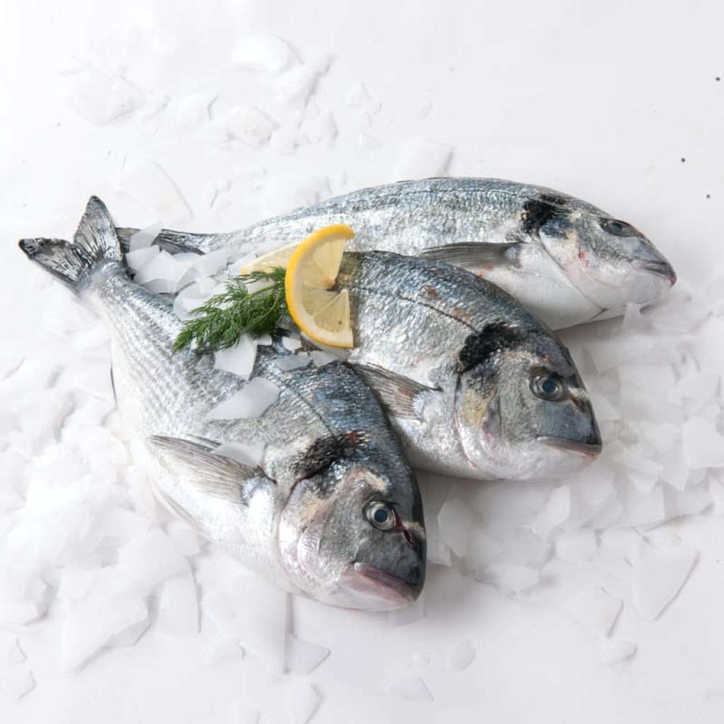 Dorade 1000 g+ — carton 5 kg