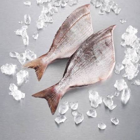 Dorade Diaregne sans tête — carton 5 kg