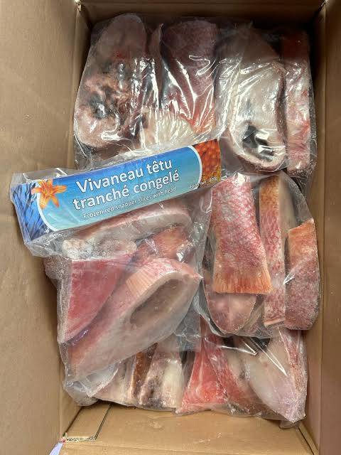 Dorade plate Vivaneau — carton 10 kg