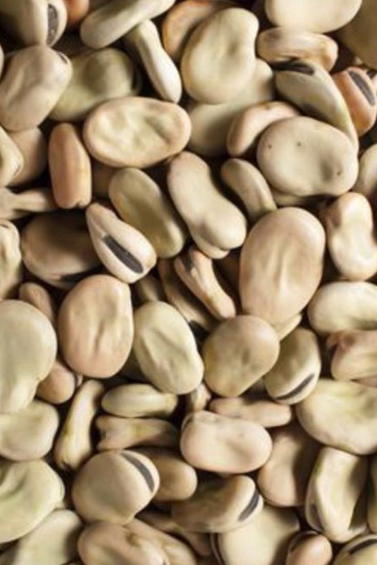 Fèves séchées — 500 g