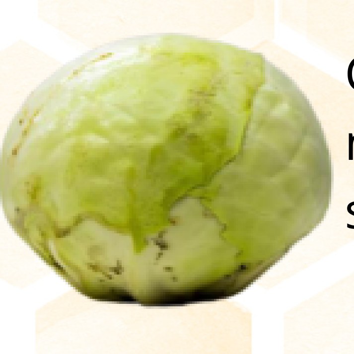 Gingembre frais — 1 kg