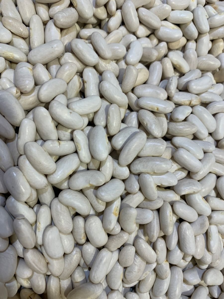 Haricot blanc géant — 500 g