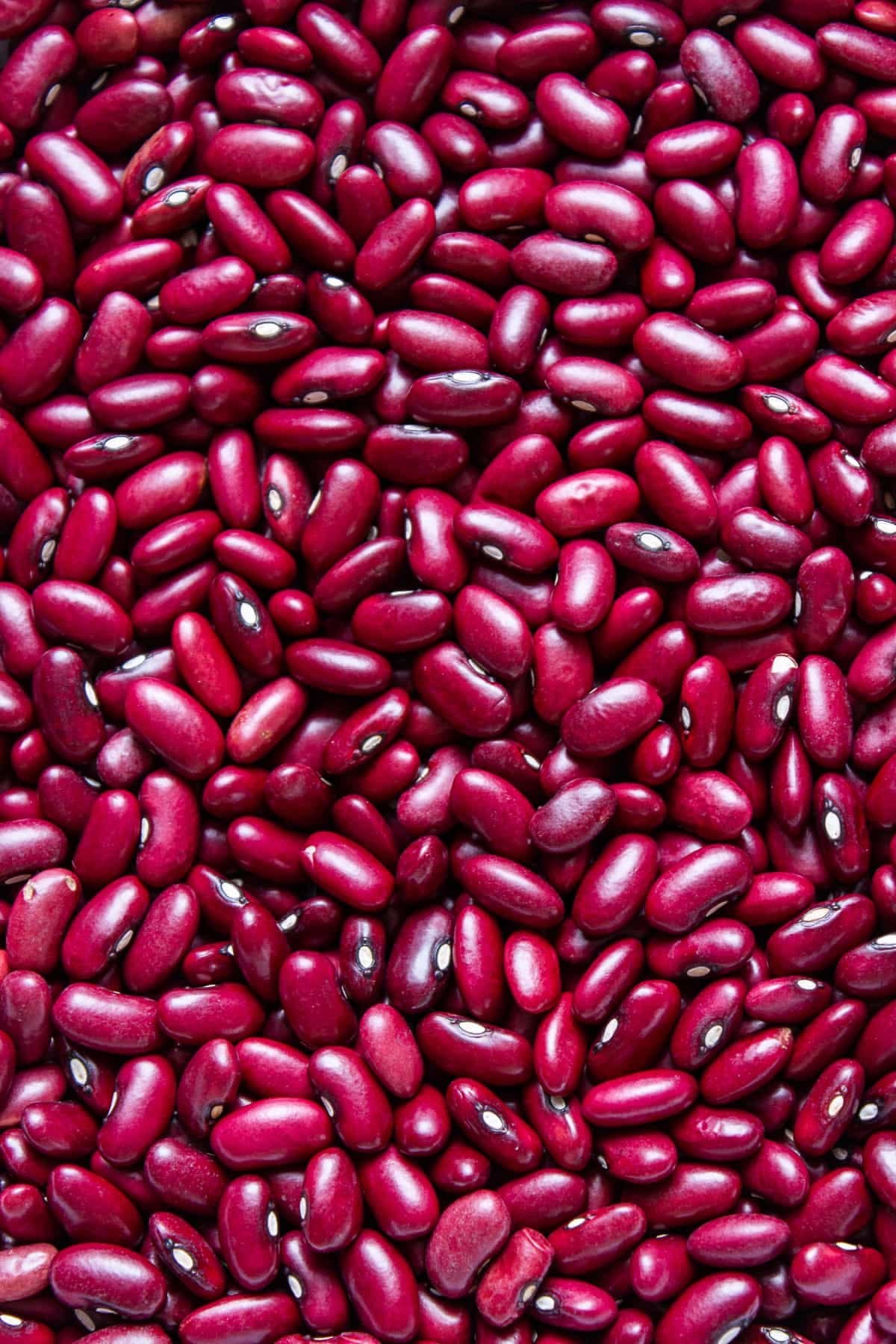 Haricot rouge — 500 g