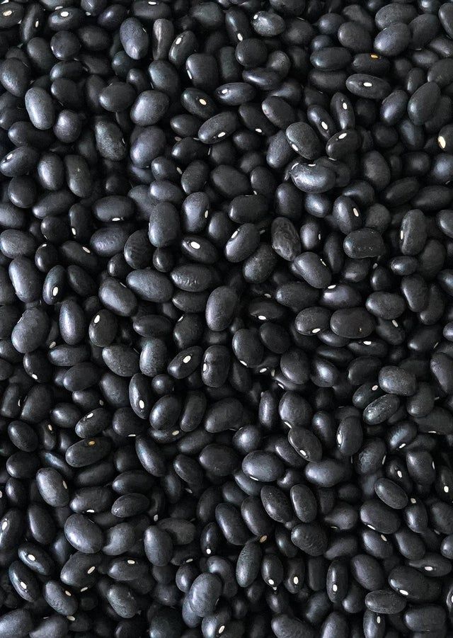 Haricots noirs Tersol — 500 g