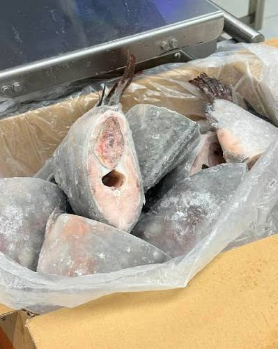 Mérou Thiof sans tête — carton 10 kg
