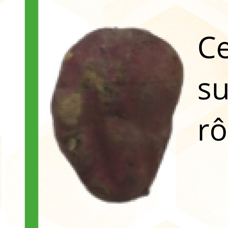 Patate douce blanche — 1 kg