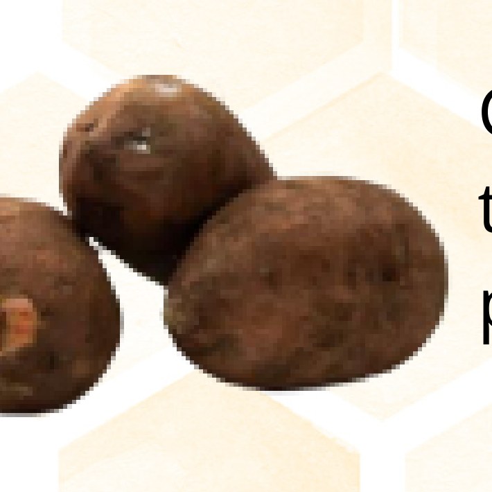 Patate douce rose — 1 kg