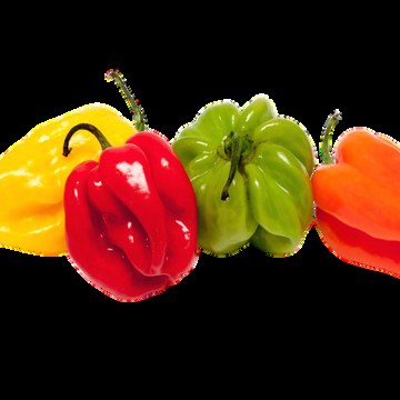 Piment — 1 kg
