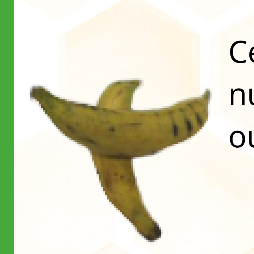 Plantain — 1 kg