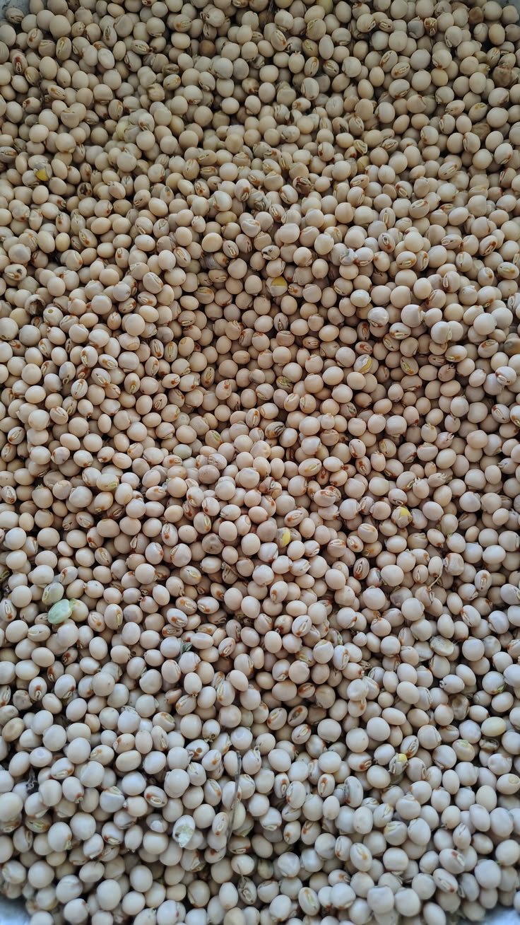 Pois cajan (dolé) — 500 g