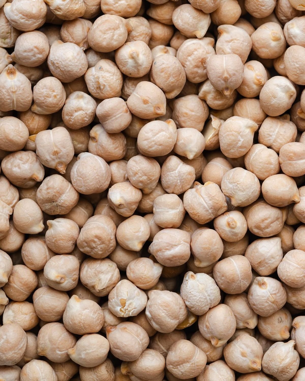 Pois chiche — 500 g