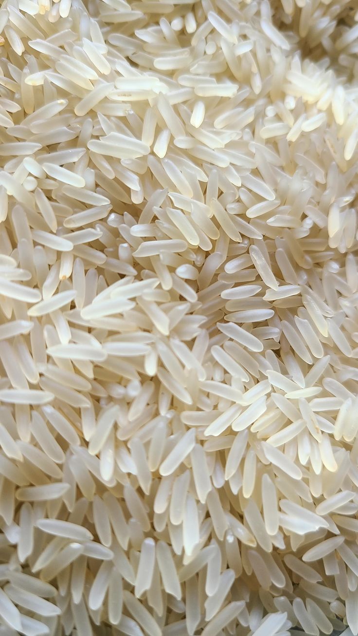 Riz cassé (1×) — 1 kg