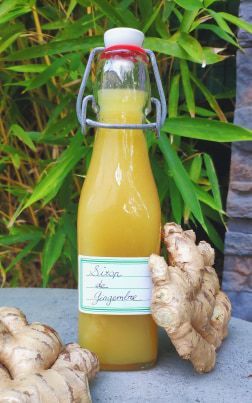 Sirop de gingembre — 50 cl